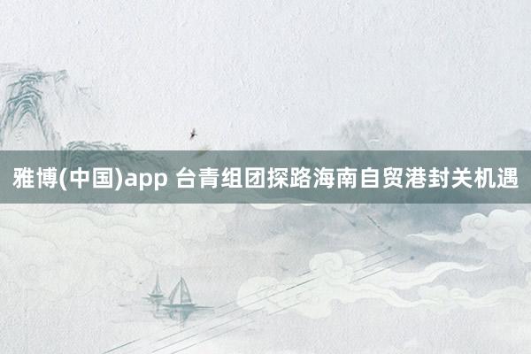雅博(中国)app 台青组团探路海南自贸港封关机遇