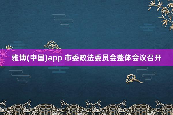 雅博(中国)app 市委政法委员会整体会议召开