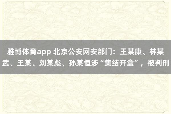 雅博体育app 北京公安网安部门：王某康、林某武、王某、刘某彪、孙某恒涉“集结开盒”，被判刑