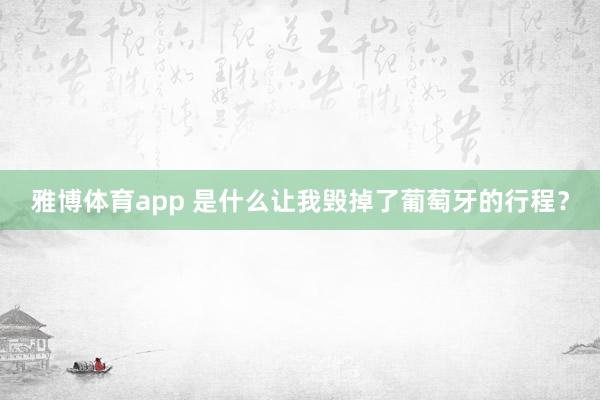 雅博体育app 是什么让我毁掉了葡萄牙的行程？