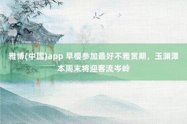 雅博(中国)app 早樱参加最好不雅赏期，玉渊潭本周末将迎客流岑岭