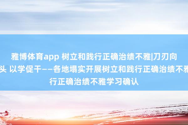雅博体育app 树立和践行正确治绩不雅|刀刃向内 实字当头 以学促干——各地塌实开展树立和践行正确治绩不雅学习确认