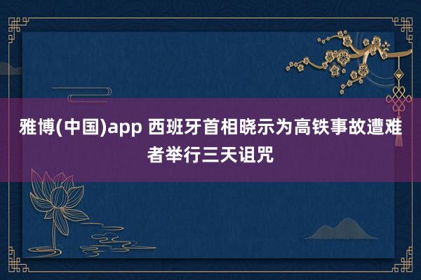 雅博(中国)app 西班牙首相晓示为高铁事故遭难者举行三天诅咒