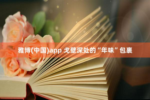 雅博(中国)app 戈壁深处的“年味”包裹