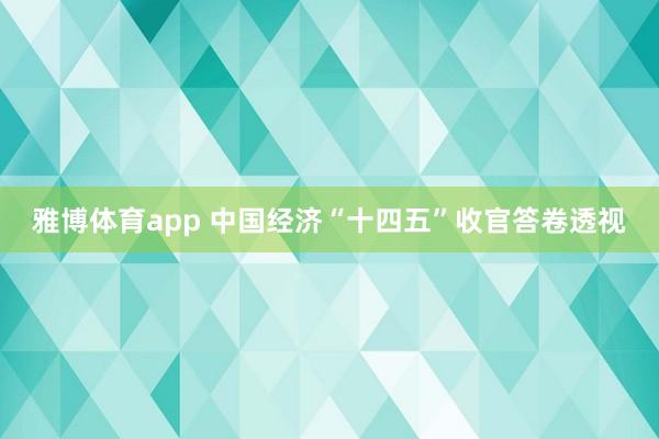 雅博体育app 中国经济“十四五”收官答卷透视