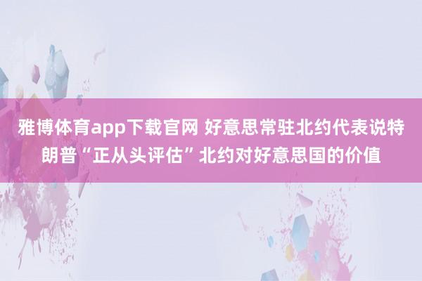 雅博体育app下载官网 好意思常驻北约代表说特朗普“正从头评估”北约对好意思国的价值