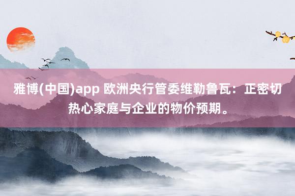 雅博(中国)app 欧洲央行管委维勒鲁瓦：正密切热心家庭与企业的物价预期。