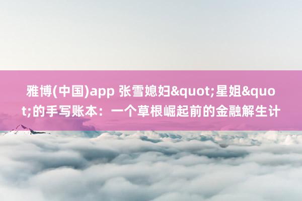雅博(中国)app 张雪媳妇"星姐"的手写账本：一个草根崛起前的金融解生计