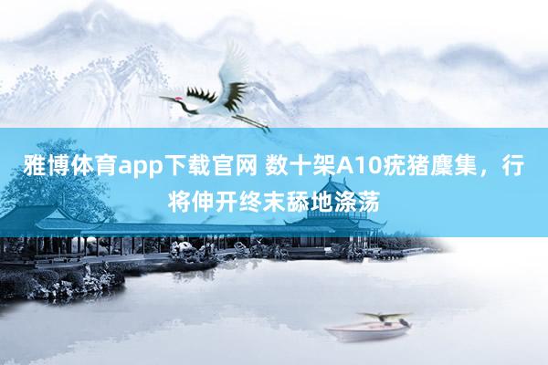 雅博体育app下载官网 数十架A10疣猪麇集，行将伸开终末舔地涤荡