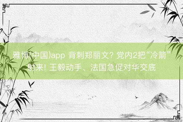 雅博(中国)app 背刺郑丽文? 党内2把“冷箭”射来! 王毅动手、法国急促对华交底