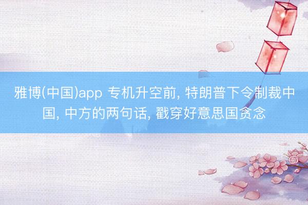 雅博(中国)app 专机升空前， 特朗普下令制裁中国， 中方的两句话， 戳穿好意思国贪念