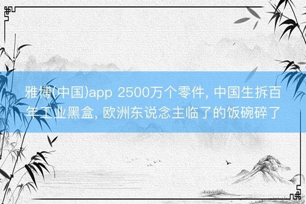 雅博(中国)app 2500万个零件， 中国生拆百年工业黑盒， 欧洲东说念主临了的饭碗碎了