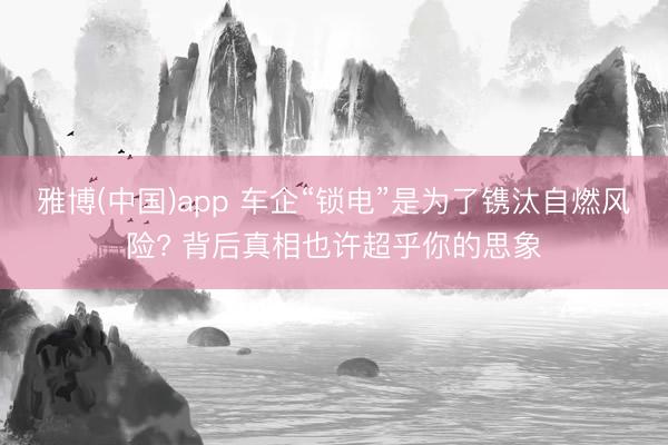 雅博(中国)app 车企“锁电”是为了镌汰自燃风险? 背后真相也许超乎你的思象