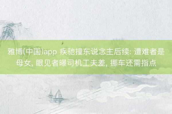 雅博(中国)app 疾驰撞东说念主后续: 遭难者是母女， 眼见者曝司机工夫差， 挪车还需指点