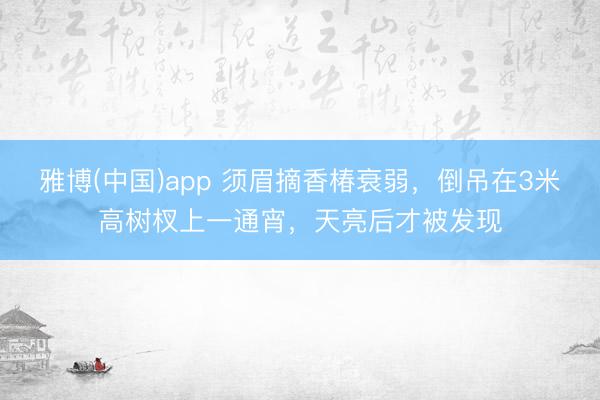 雅博(中国)app 须眉摘香椿衰弱,倒吊在3米高树杈上一通宵,天亮后才被发现