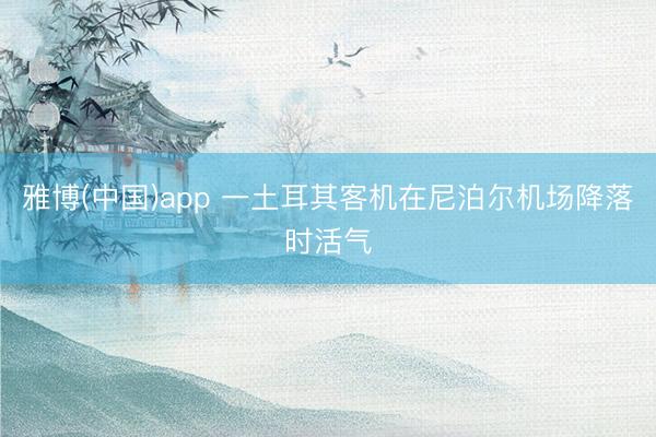 雅博(中国)app 一土耳其客机在尼泊尔机场降落时活气