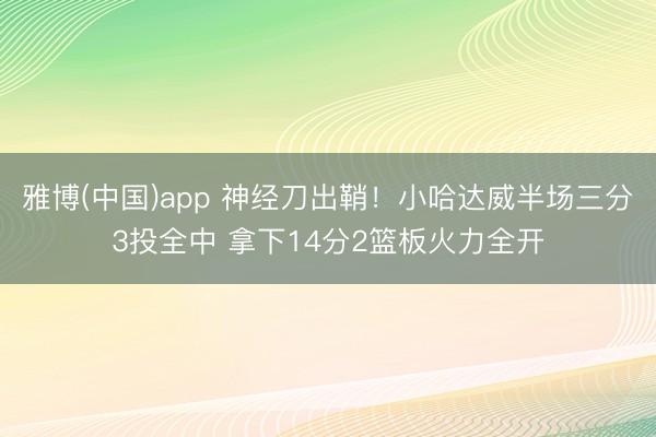雅博(中国)app 神经刀出鞘!小哈达威半场三分3投全中 拿下14分2篮板火力全开