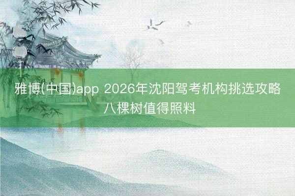 雅博(中国)app 2026年沈阳驾考机构挑选攻略 八棵树值得照料