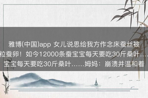 雅博(中国)app 女儿说思给我方作念床蚕丝被，一家三口网购了1万粒蚕卵！如今12000条蚕宝宝每天要吃30斤桑叶……姆妈：崩溃并温和着