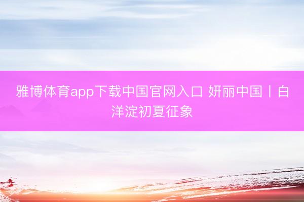 雅博体育app下载中国官网入口 妍丽中国丨白洋淀初夏征象