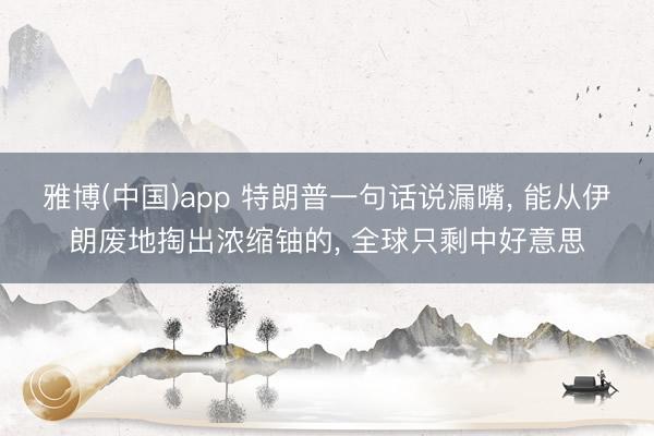 雅博(中国)app 特朗普一句话说漏嘴， 能从伊朗废地掏出浓缩铀的， 全球只剩中好意思