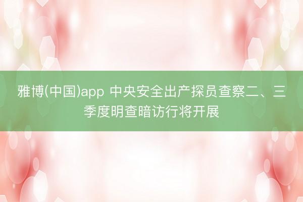 雅博(中国)app 中央安全出产探员查察二、三季度明查暗访行将开展