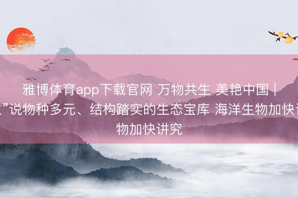 雅博体育app下载官网 万物共生 美艳中国 | “数”说物种多元、结构踏实的生态宝库 海洋生物加快讲究